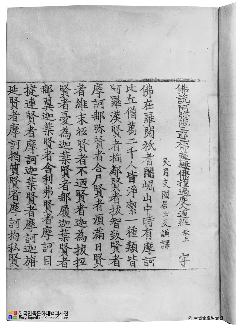 불설아미타삼야삼불살루불단과도인도경 권상