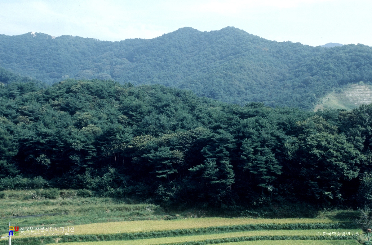 태조산