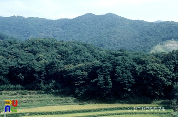 태조산